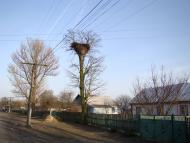 Понора - Останні фото