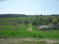 В'язове з panoramio.com