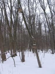 Барилівка з panoramio.com