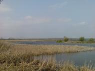 Грибенинка з panoramio.com