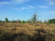 Хрящувате з panoramio.com