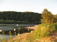 Лука з panoramio.com