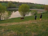 Скалівські Хутори з panoramio.com