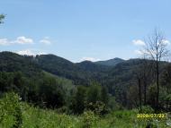 Стара Красношора з panoramio.com