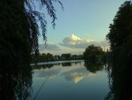 Брусниця з panoramio.com