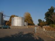 Бджільна з panoramio.com