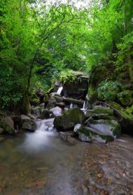 Турички з panoramio.com