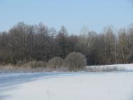 Троянівка з panoramio.com