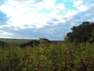 Веселий Кут з panoramio.com