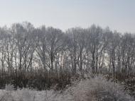 Подорожнє з panoramio.com