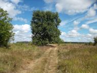 Білий Берег з panoramio.com