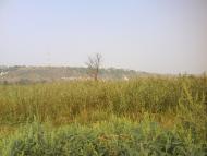 Новоайдар з panoramio.com
