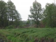 Тимченки з panoramio.com