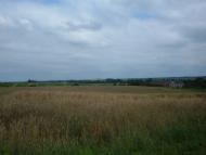 Дубляни з panoramio.com