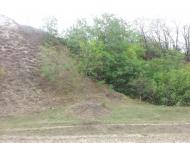 Бахтинок з panoramio.com