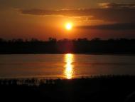 Медведеве з panoramio.com