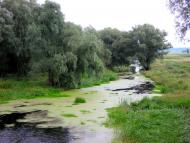 Думанці з panoramio.com