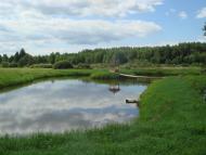 Кодра з panoramio.com