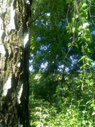 Кринички з panoramio.com