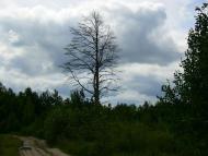 Червоносілка з panoramio.com