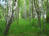 Льгівка з panoramio.com