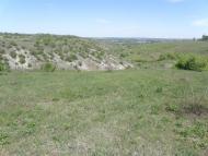 Айдар-Миколаївка з panoramio.com
