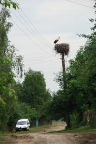 Дитиничі з panoramio.com