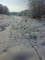 Петрівське з panoramio.com