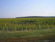 Новеньке з panoramio.com