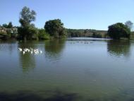 Мартинівка - Останні фото