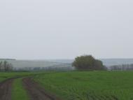 Червоний Лиман - Останні фото