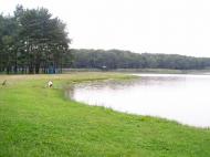 Хрипаличі з panoramio.com