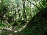 Айдар-Миколаївка з panoramio.com