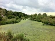 Красні Лози з panoramio.com