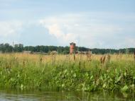 Березова Гать з panoramio.com