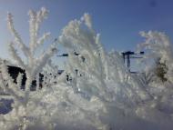 Петрівське з panoramio.com