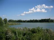 Грузьке - Останні фото