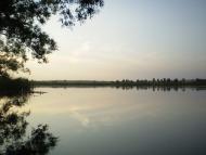 Грибенинка з panoramio.com