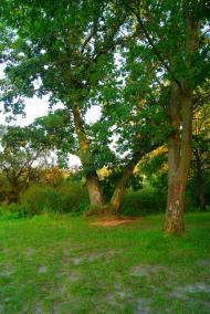 Семки з panoramio.com