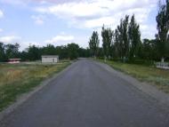 Комар з panoramio.com