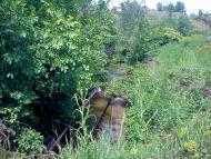 Хрящувате з panoramio.com