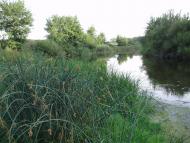 Підлісне з panoramio.com