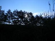 Федорівка - Останні фото