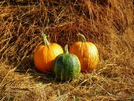 Трушівці з panoramio.com