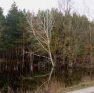 Санжари з panoramio.com