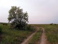 Стара Еметівка з panoramio.com