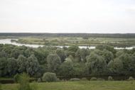 Рогівка з panoramio.com