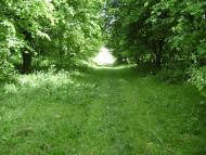 Яроповичі з panoramio.com