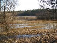 Булахівка з panoramio.com