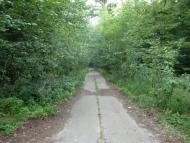 Великі Коровинці з panoramio.com